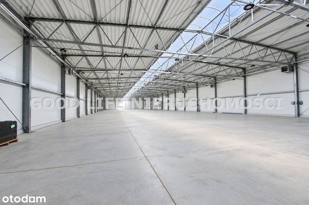 Nowa hala od zaraz