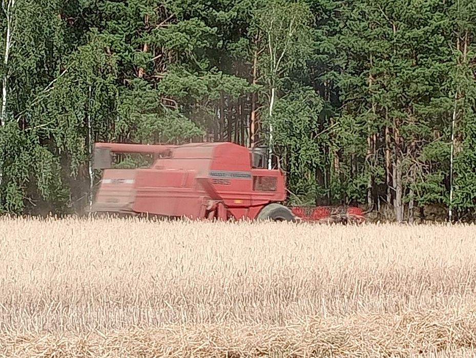 Massey Ferguson 865