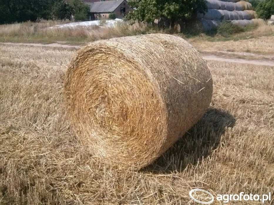 Sprzedam SŁOMA, SIANO Bele