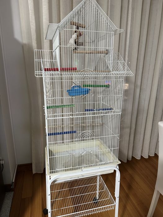 Gaiola grande para caturra