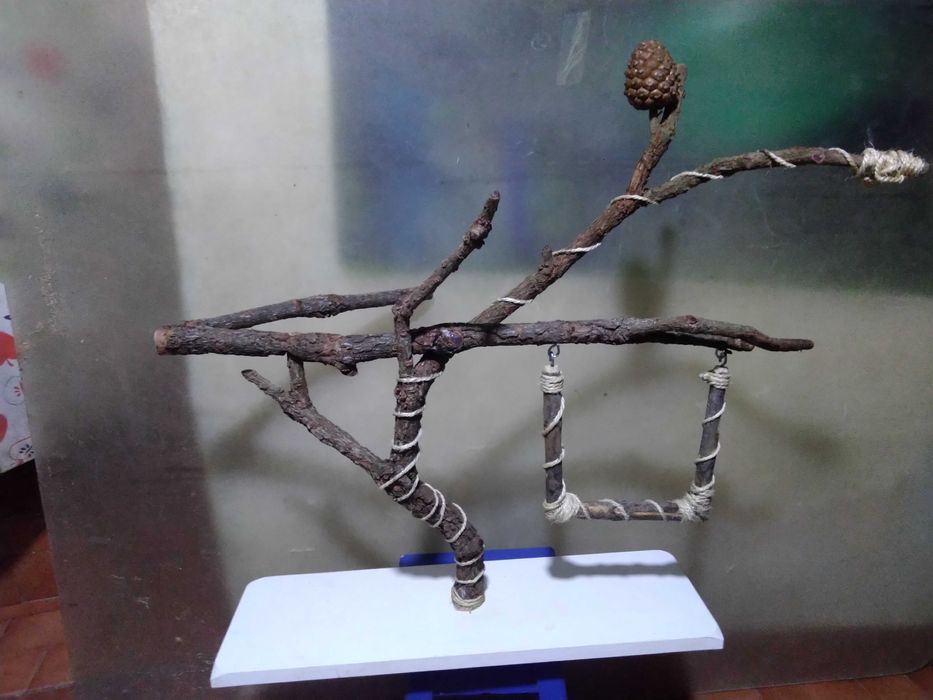 Poleiro para aves de companhia