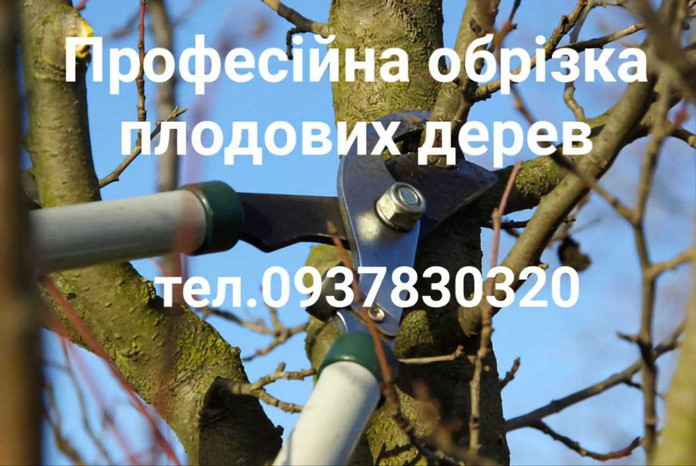 Розчистка території. Обрізка плодового саду. Послуги садівника