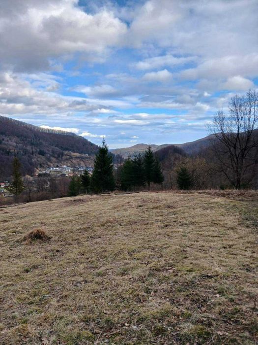 Продаю унікальну ділянку в Шешорах. 910 соток
