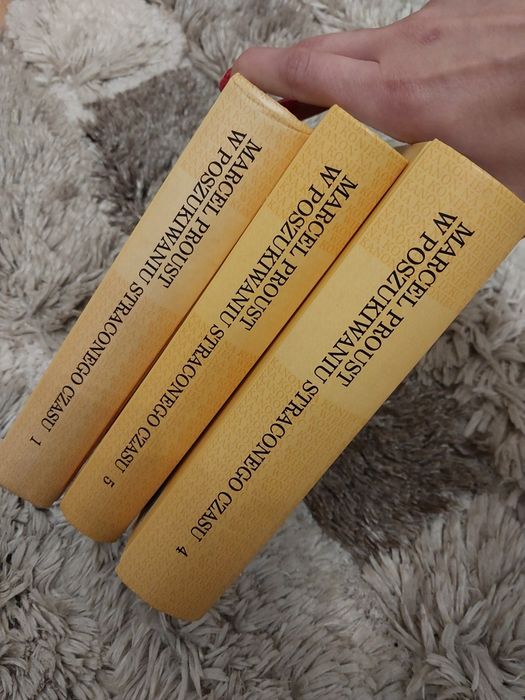 W poszukiwaniu straconego czasu