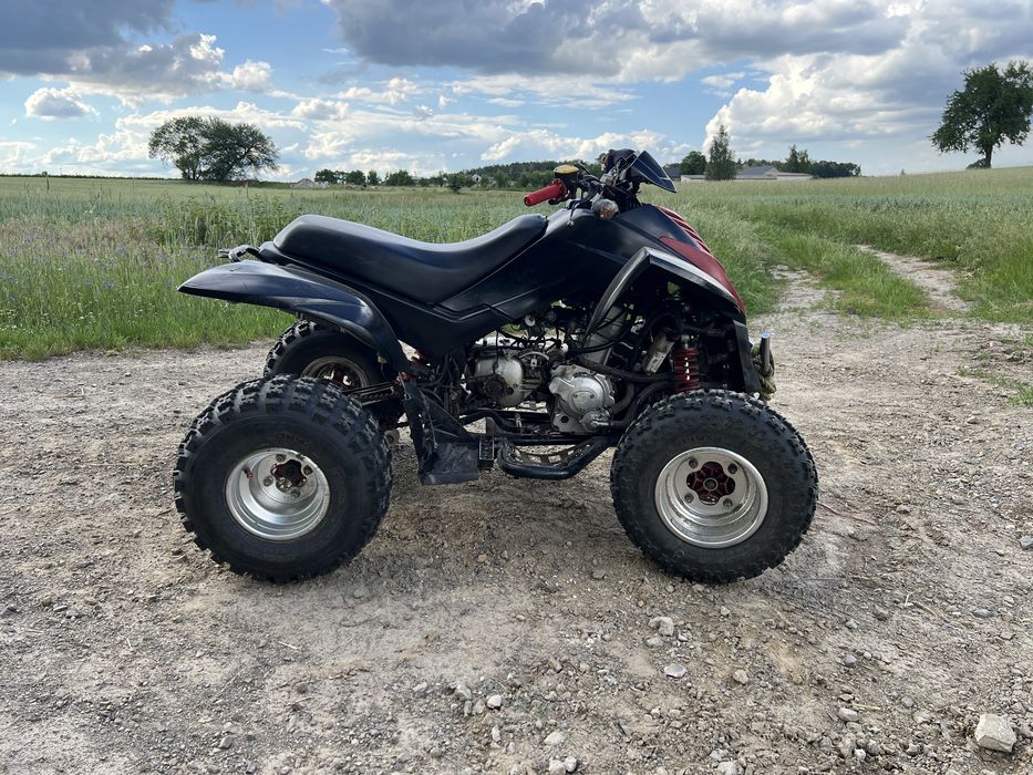 Dinli 300cc automat