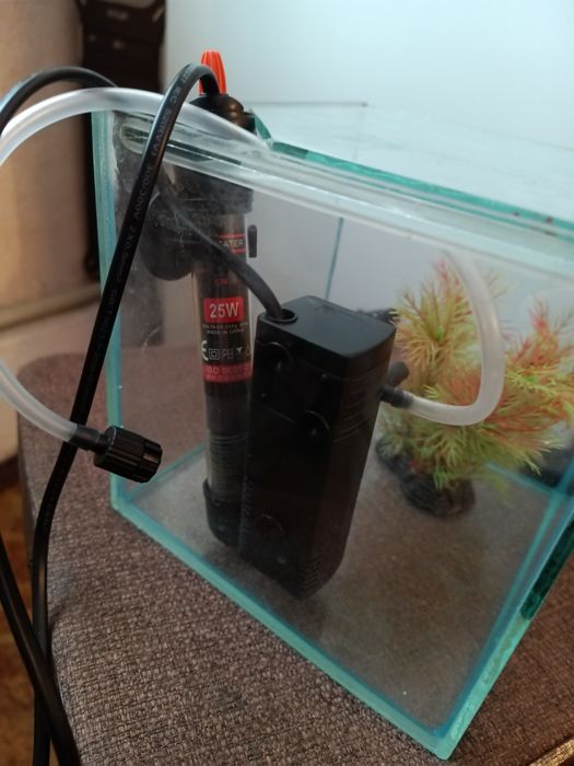 Акваріум 3л. Куб з кришкою. Комплект