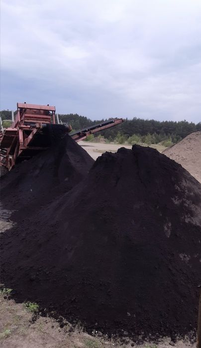 Kora Sosnowa Zrębki Iglaste  luzem lub worki