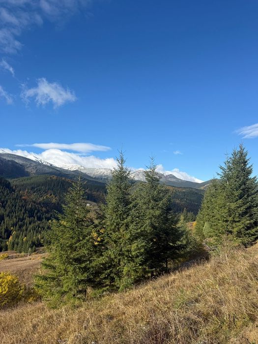 Ділянка біля Сховку під будову 22 сотки