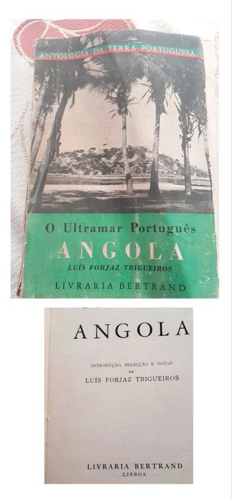 Livros sobre Africa e   Miguel Esteves Cardoso