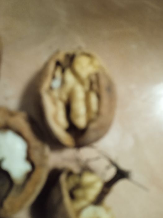 Горіх грецький цілий