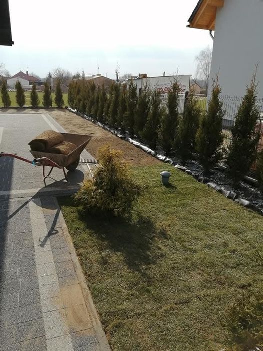 Ogrody trawniki zakładanie