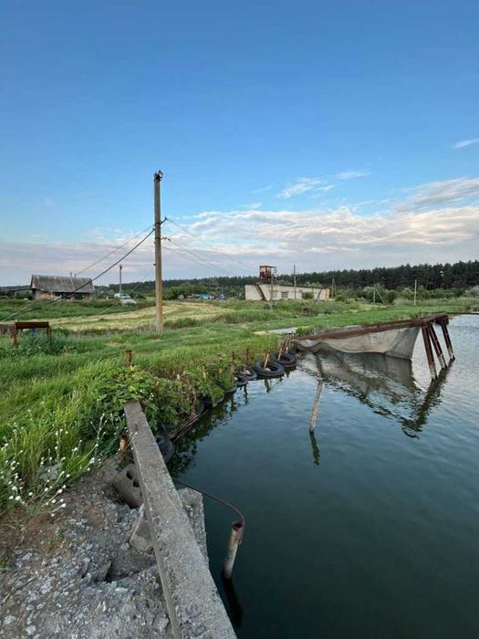 Продаж рибного господарства 504га в с. Куцеволівка