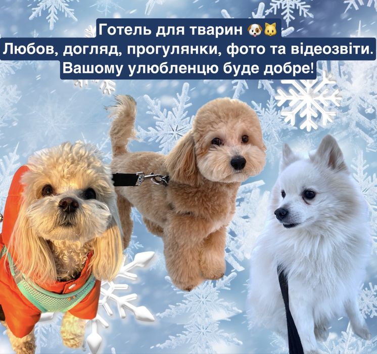 Готель для тварин, перетримка