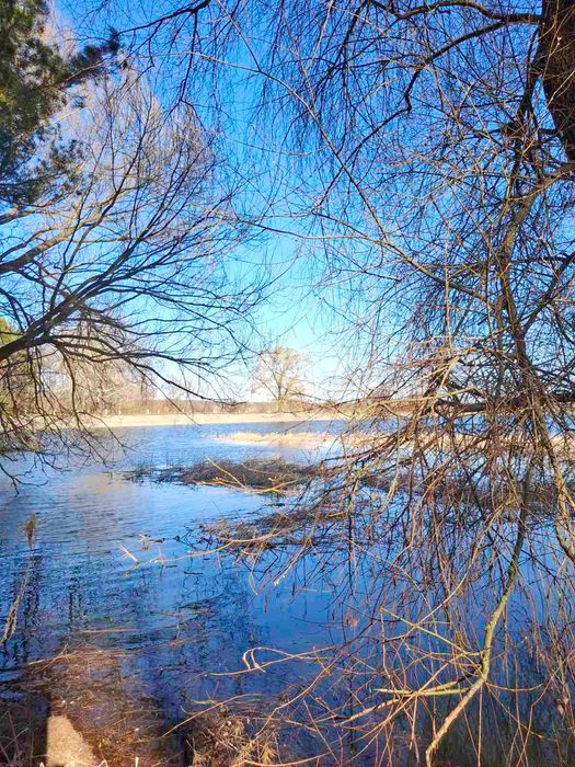 Продам будинок на березі водосховища. с. Гавронщина