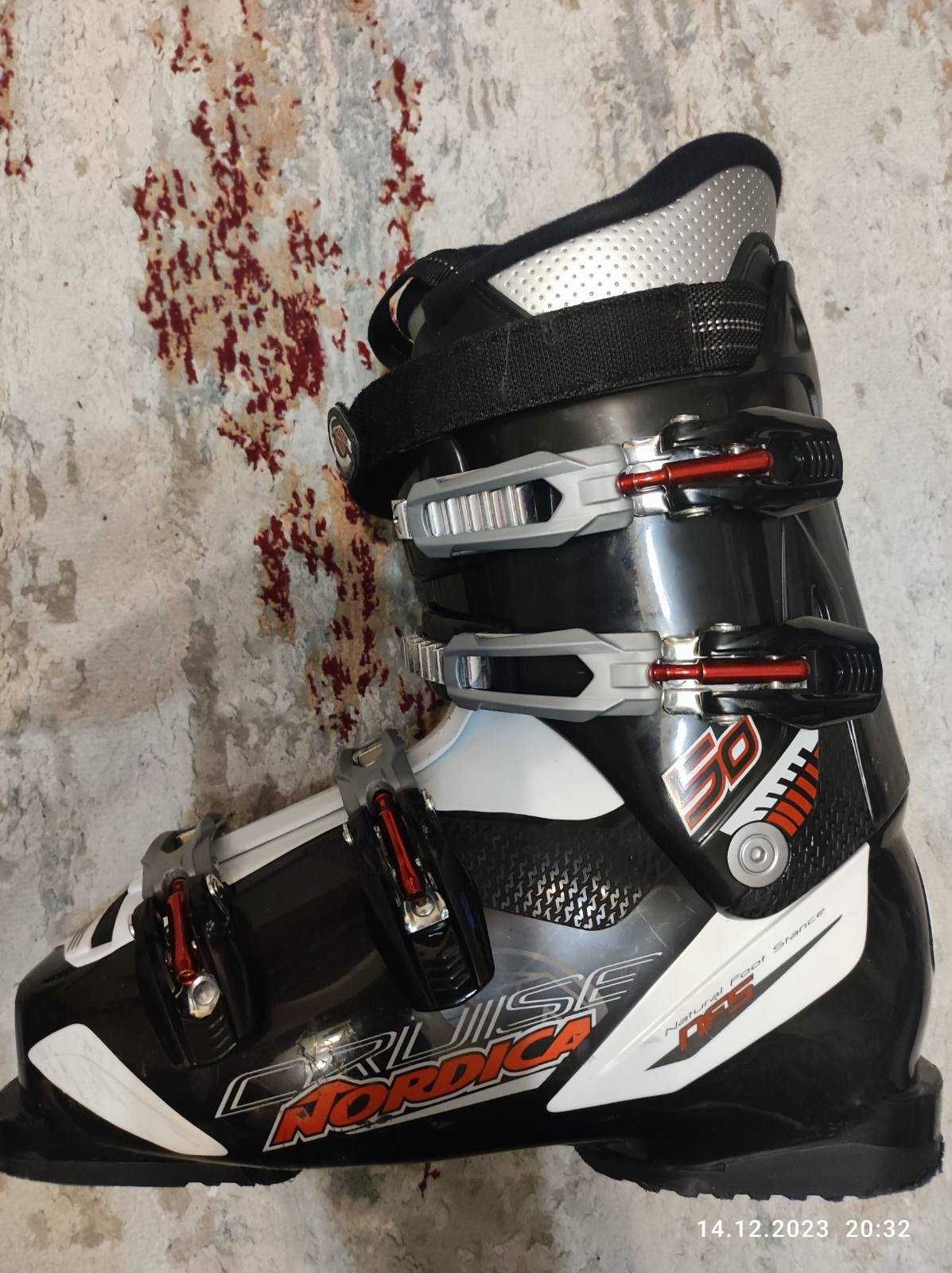 Nordica cruise 50 new arrivals