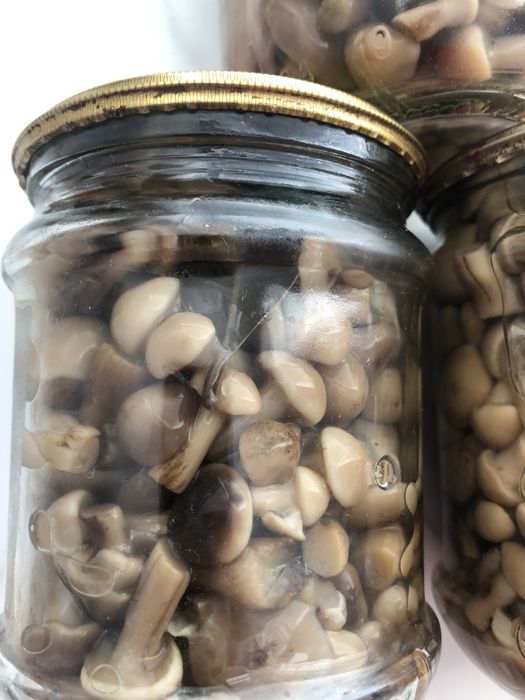 Опеньки мариновані 0,5 л