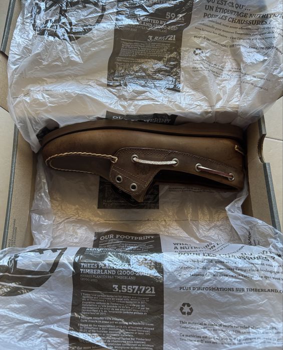 Sapatos Timberland Novos