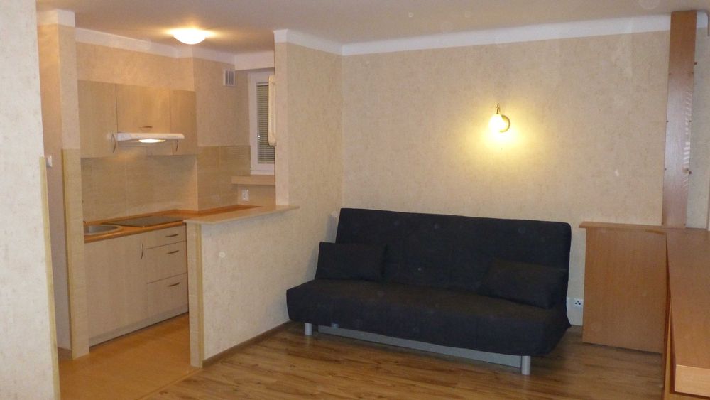 Apartment in Łódź, Piastów-Kurak, Górna - Widok 2
