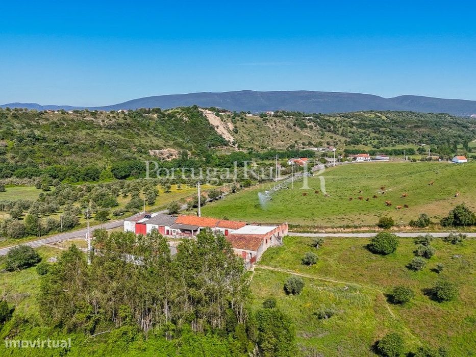 Conjunto de duas propriedades contíguas com 13 hectares, Torres Novas