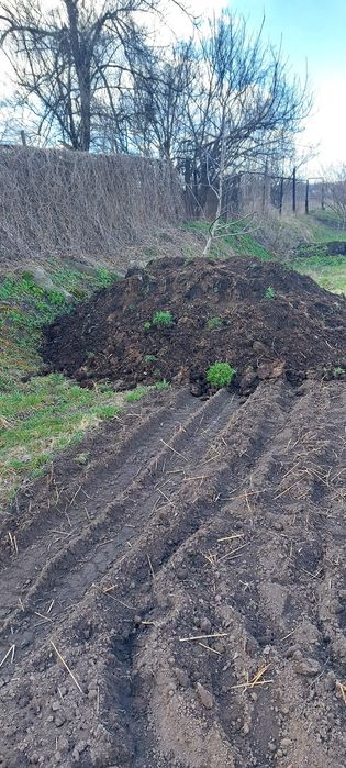 Продаю перегной коровий