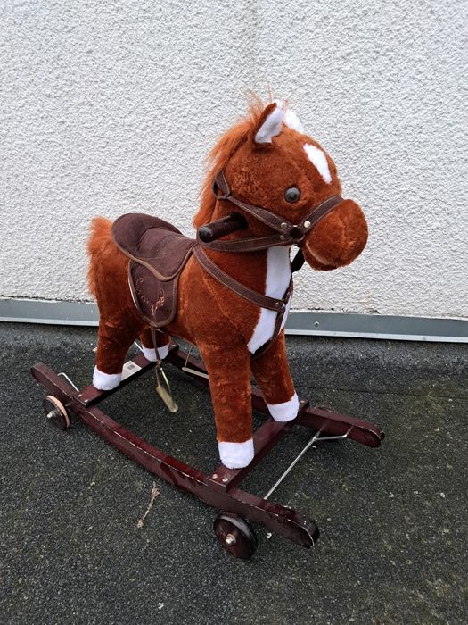 Kon na biegunach, z głosem