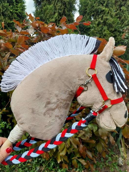 Konik na kiju fiord hobby horse