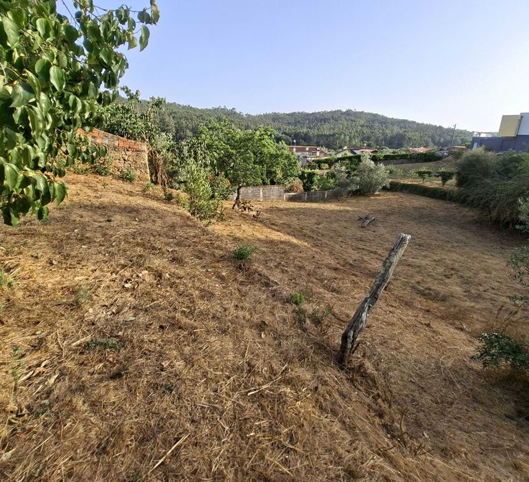 Vende-se terreno com 1250m2 e casa antiga em ruinas