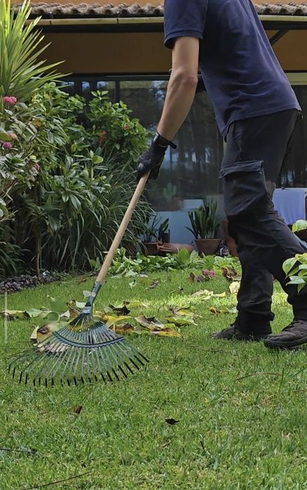 Jardim & Piscina - Landscaping/Jardineiro
