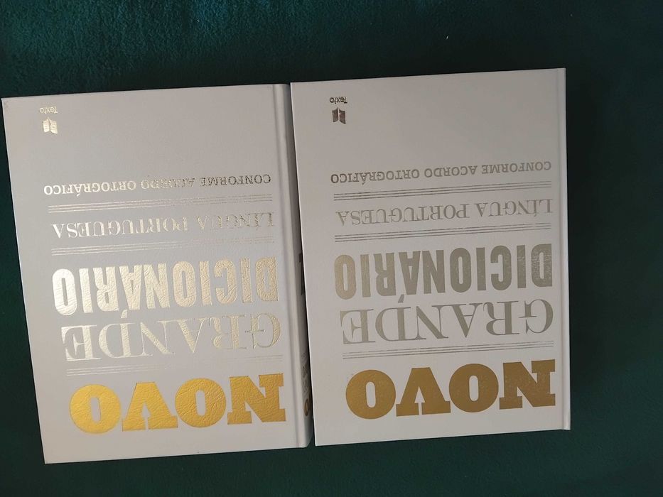 TEXTO-Novo Grande Dicionário Língua Portuguesa - 2 Volumes