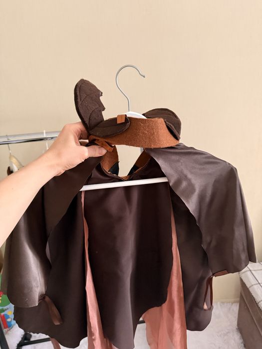 Костюм жука, Черкаси