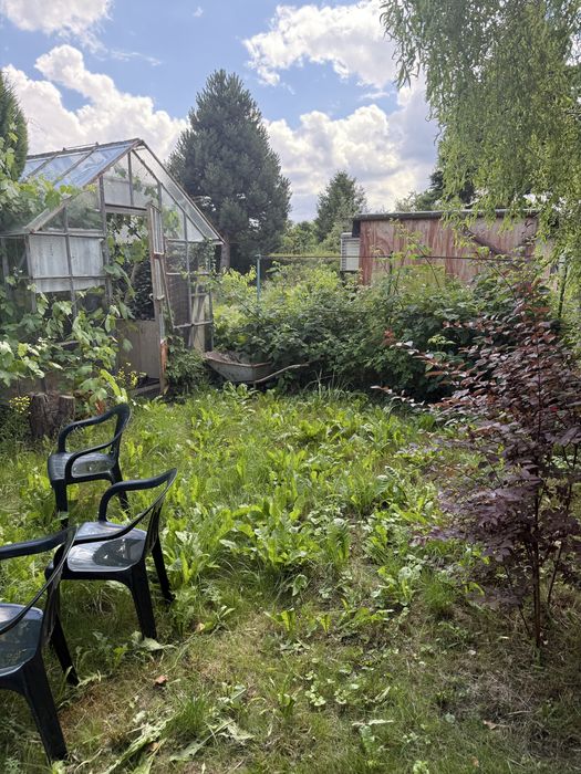 Działka ROD Gdynia Obłuże