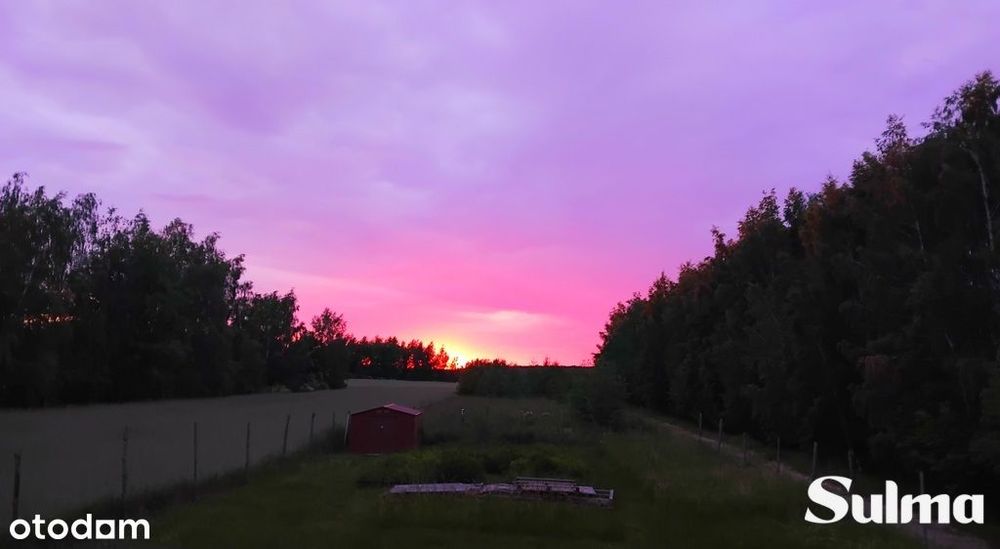 W samym sercu natury 889m Łódź | Bałuty I Moskule - Więcej