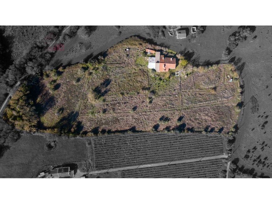 Vende-se Quinta Tradicional às Portas de Évora - 2,45 ha