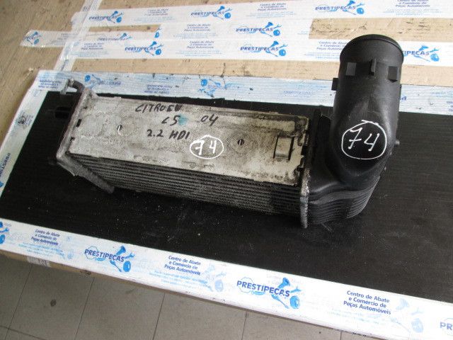 Radiador do intercooler CITROËN C5 II (RC_)