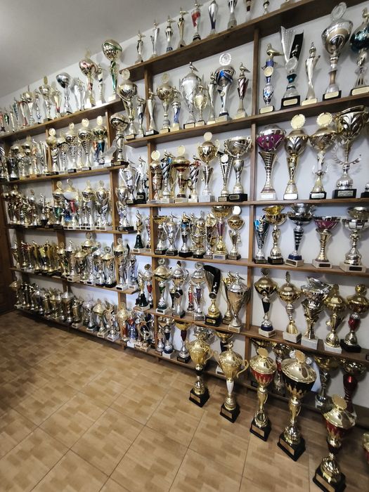 Gołębie pocztowe po wdowcach od wielokrotnego Mistrza okręgu, rejonu