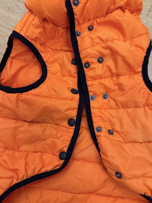 Жилетка для середньої собачки