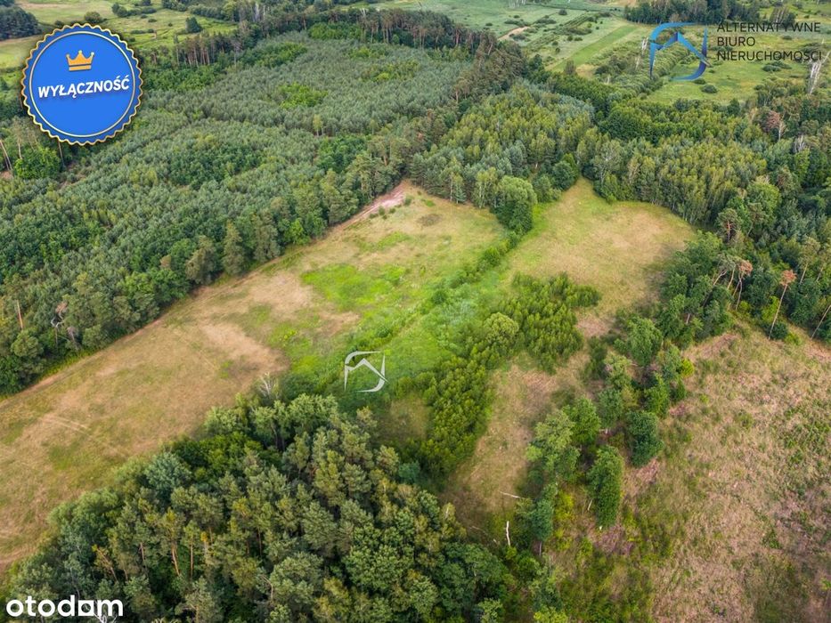 Działka 3004 m² blisko natury - gmina Łaziska