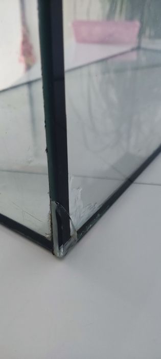 Akwarium Diversa 55l