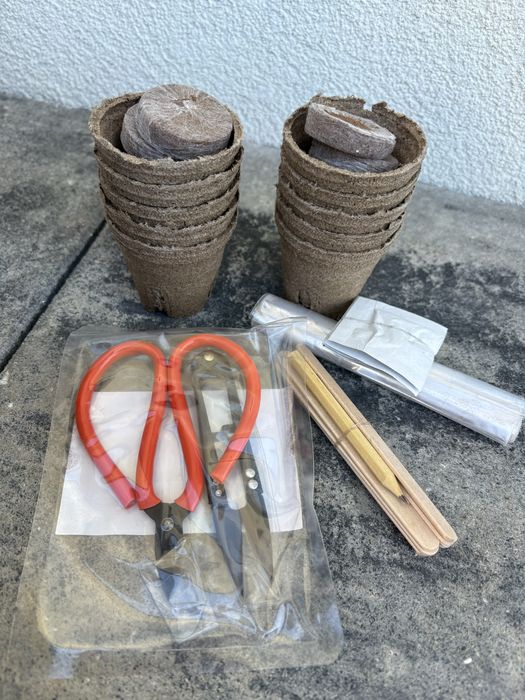 zestaw startowy do uprawy drzewek bonsai