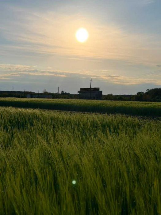 Продаж будинку с. Великі Млинівці