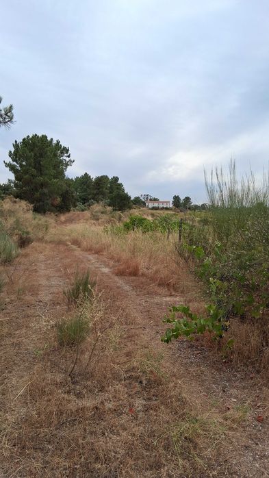 Terreno em São Miguel De Acha