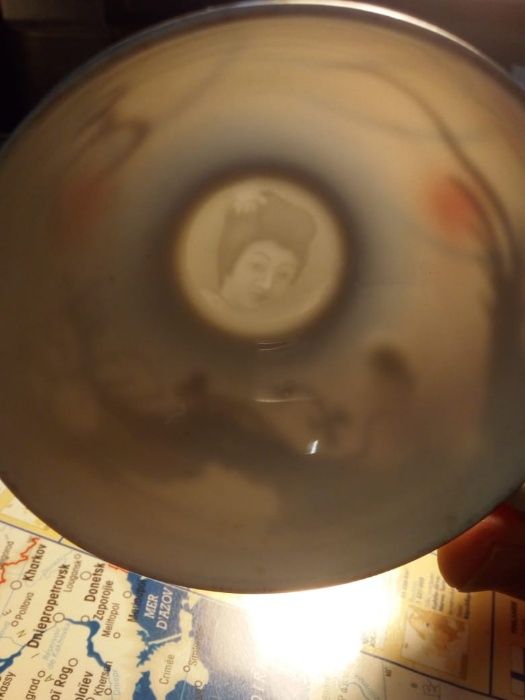 Serviço de chá dragão com relevo