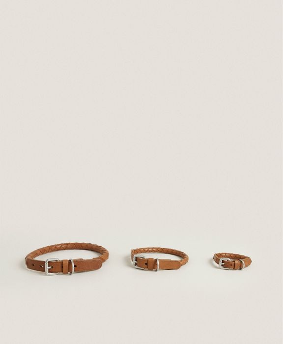 Coleira Entraçada Para Animais De Estimação Zara Home NOVO