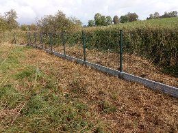 Panele ogrodzeniowe Ogrodzenie panelowe PRODUCENT