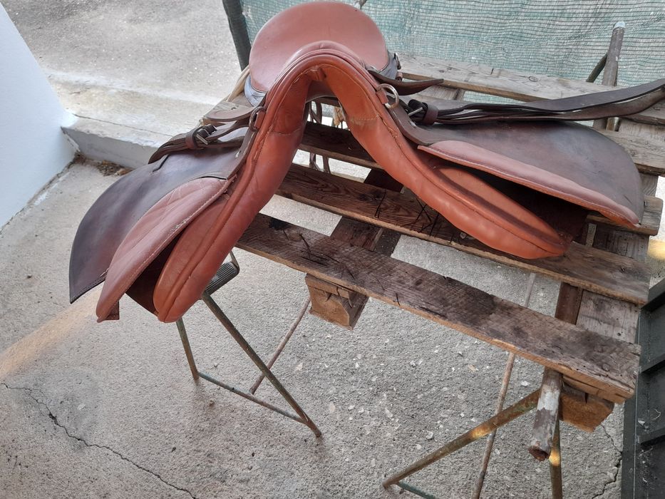 Cela para cavalos