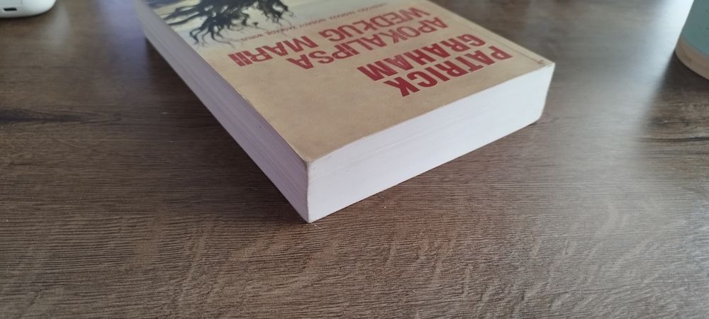 Patrick Graham Apokalipsa według Marii