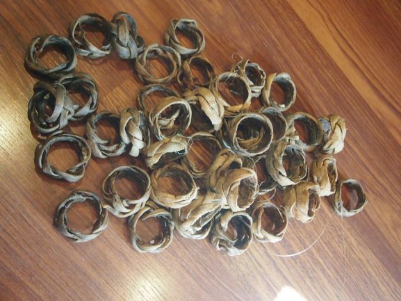 Konso afinadores de kora harpa africana em cabedal