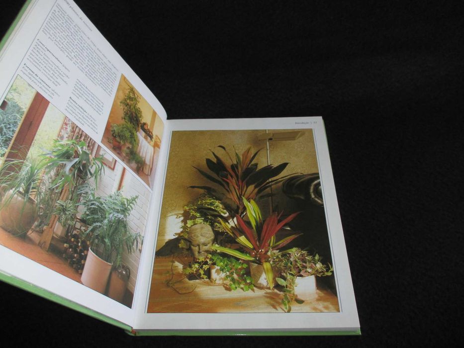 Livro 200 Plantas de Interior Richard Gilbert 1991