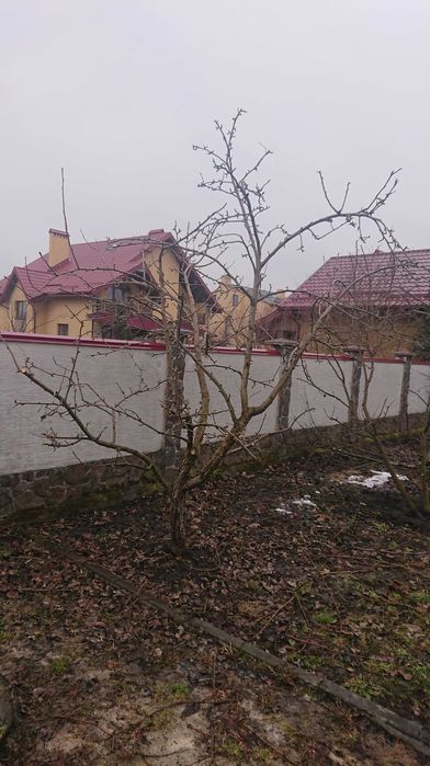 Формування рослин ландшафт, газони