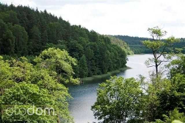 Działki budowlane warmińsko - mazurskie w lesie w otoczeniu jezior